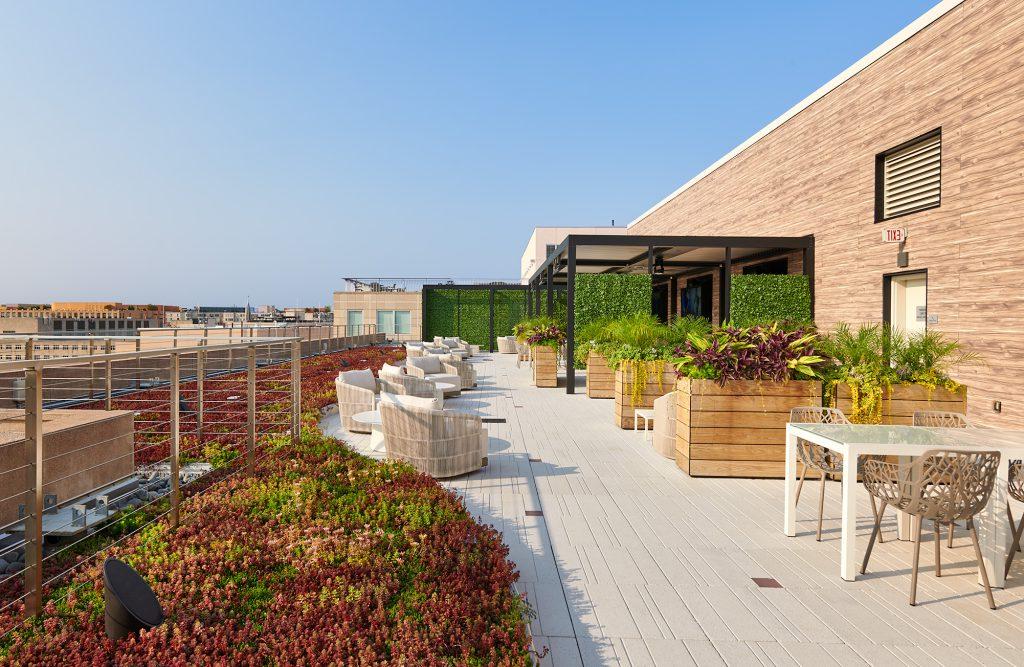 Green Roof